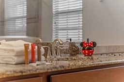 5 Bedrooms / 5 Bathrooms Champions Gate (9031 SM)