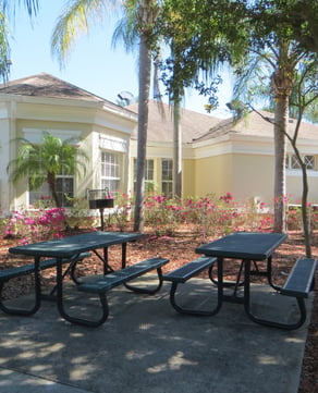 Picnic & BBQ Area